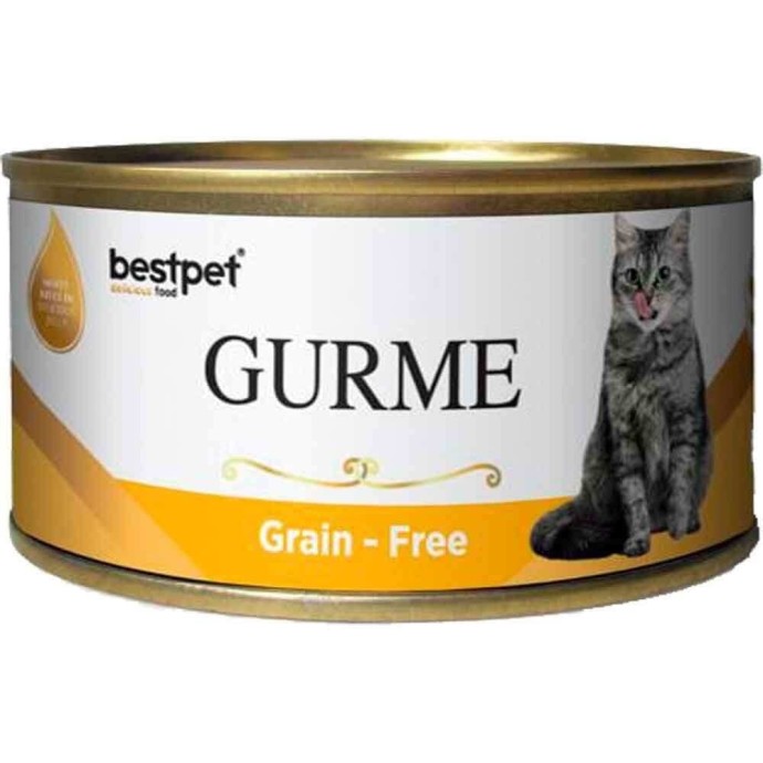 Rengarenk Pet Shop | Kedi, Köpek, Kuş, Balık ve Tüm Evcil Hayvan Ürünleri