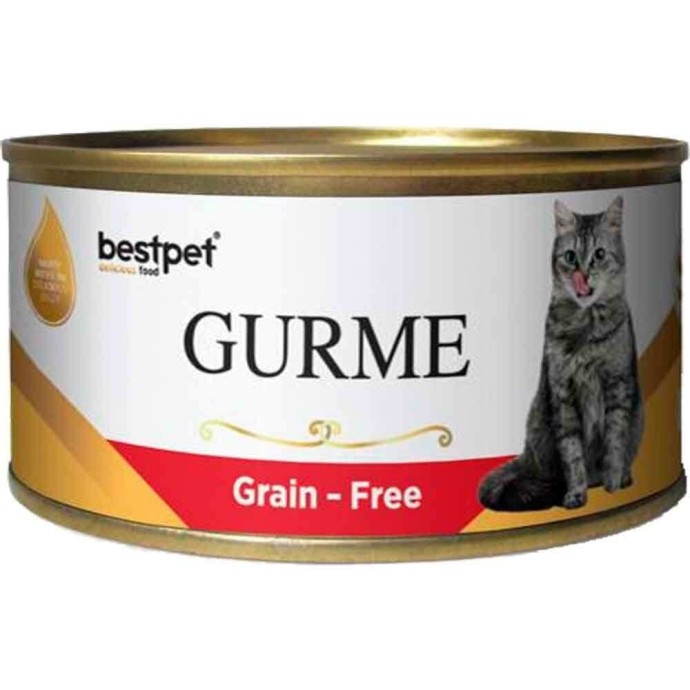 Rengarenk Pet Shop | Kedi, Köpek, Kuş, Balık ve Tüm Evcil Hayvan Ürünleri