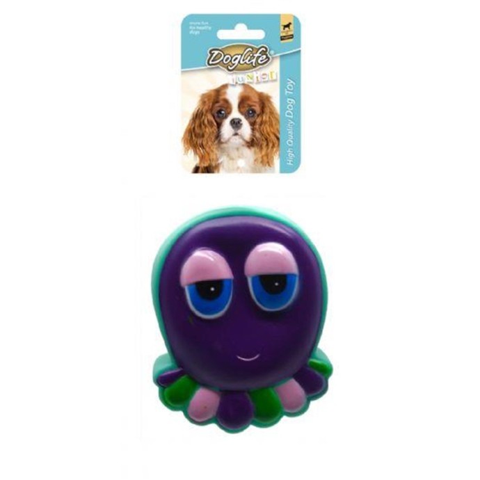 Rengarenk Pet Shop | Kedi, Köpek, Kuş, Balık ve Tüm Evcil Hayvan Ürünleri