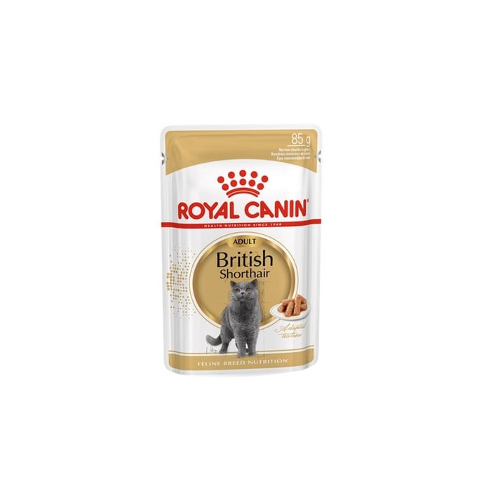 Rengarenk Pet Shop | Kedi, Köpek, Kuş, Balık ve Tüm Evcil Hayvan Ürünleri