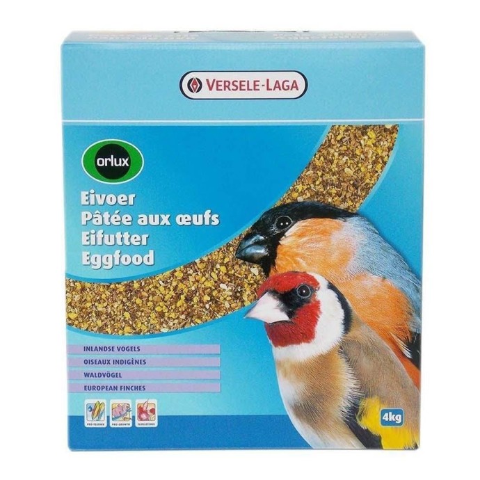 Rengarenk Pet Shop | Kedi, Köpek, Kuş, Balık ve Tüm Evcil Hayvan Ürünleri