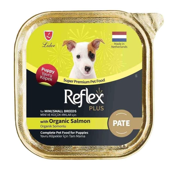 Rengarenk Pet Shop | Kedi, Köpek, Kuş, Balık ve Tüm Evcil Hayvan Ürünleri