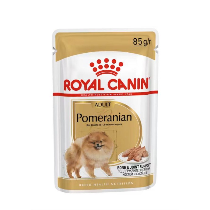 Rengarenk Pet Shop | Kedi, Köpek, Kuş, Balık ve Tüm Evcil Hayvan Ürünleri