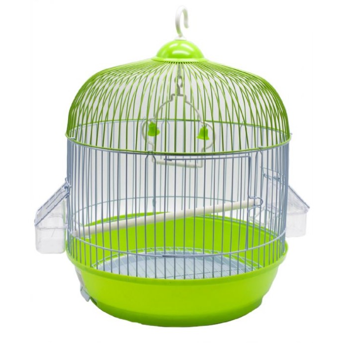 Rengarenk Pet Shop | Kedi, Köpek, Kuş, Balık ve Tüm Evcil Hayvan Ürünleri