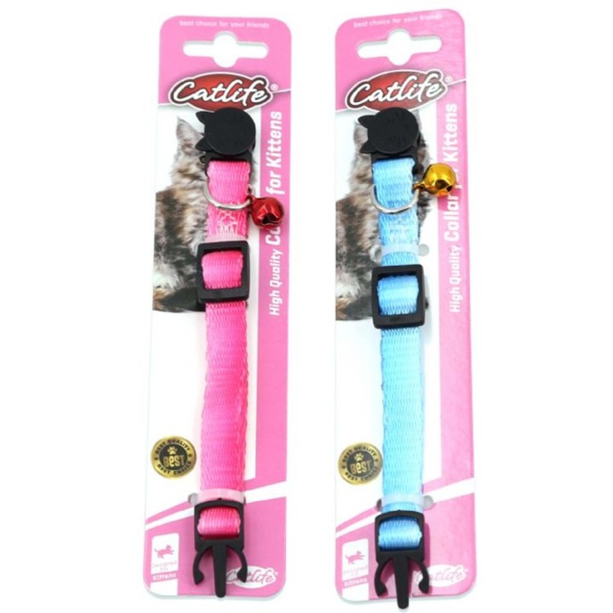 Rengarenk Pet Shop | Kedi, Köpek, Kuş, Balık ve Tüm Evcil Hayvan Ürünleri