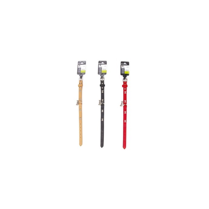 Rengarenk Pet Shop | Kedi, Köpek, Kuş, Balık ve Tüm Evcil Hayvan Ürünleri