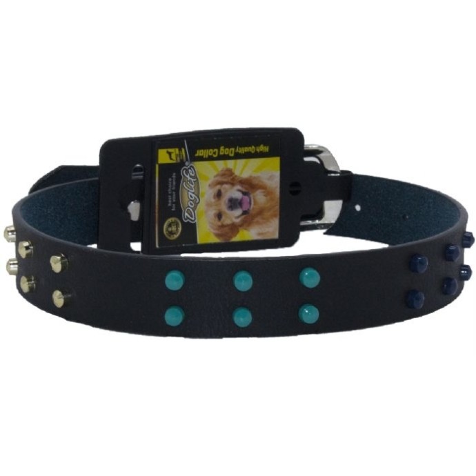 Rengarenk Pet Shop | Kedi, Köpek, Kuş, Balık ve Tüm Evcil Hayvan Ürünleri