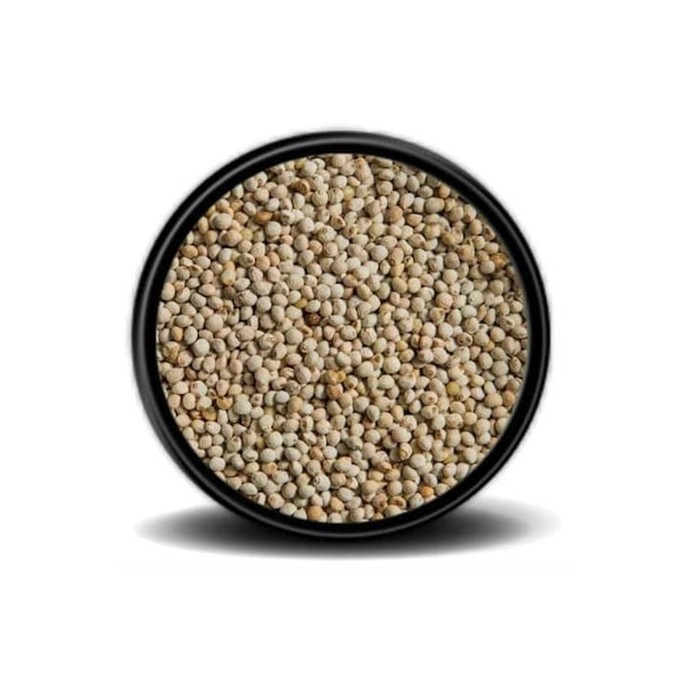 Rengarenk Pet Shop | Kedi, Köpek, Kuş, Balık ve Tüm Evcil Hayvan Ürünleri