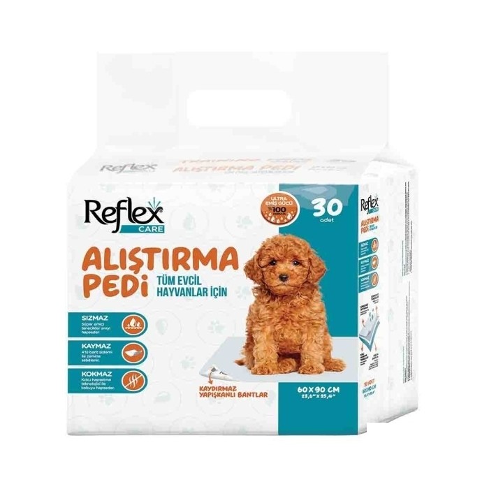 Rengarenk Pet Shop | Kedi, Köpek, Kuş, Balık ve Tüm Evcil Hayvan Ürünleri