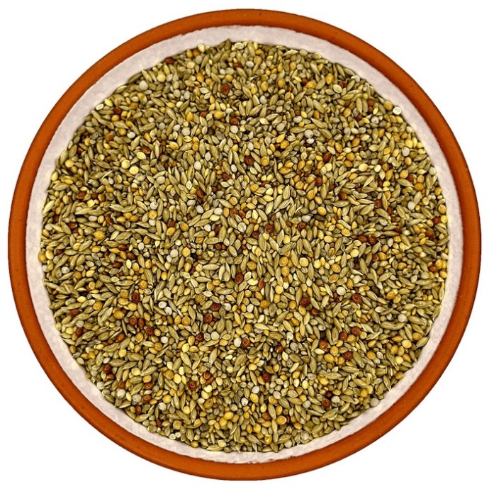 Rengarenk Pet Shop | Kedi, Köpek, Kuş, Balık ve Tüm Evcil Hayvan Ürünleri