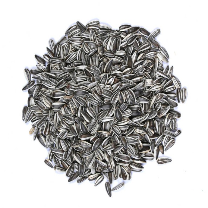 Rengarenk Pet Shop | Kedi, Köpek, Kuş, Balık ve Tüm Evcil Hayvan Ürünleri