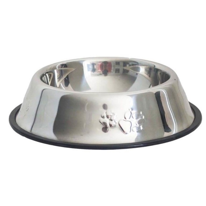 Rengarenk Pet Shop | Kedi, Köpek, Kuş, Balık ve Tüm Evcil Hayvan Ürünleri