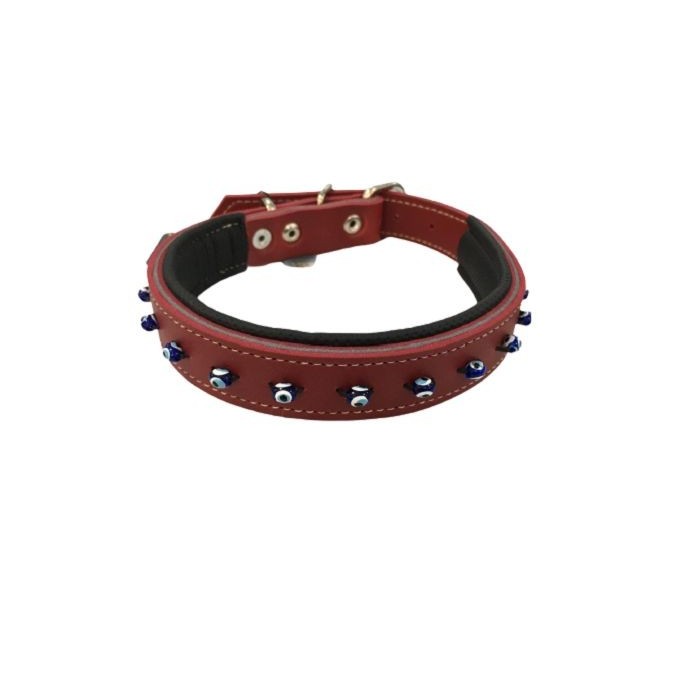 Rengarenk Pet Shop | Kedi, Köpek, Kuş, Balık ve Tüm Evcil Hayvan Ürünleri