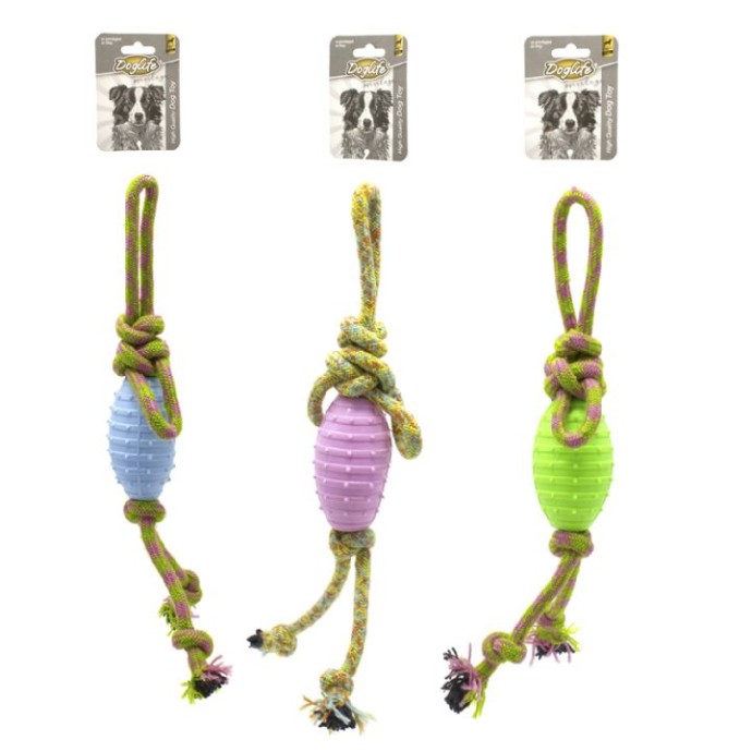 Rengarenk Pet Shop | Kedi, Köpek, Kuş, Balık ve Tüm Evcil Hayvan Ürünleri