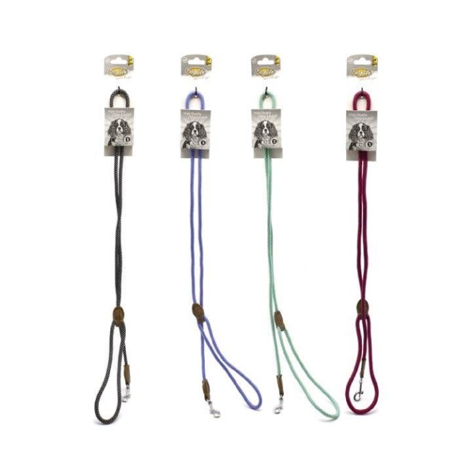 Rengarenk Pet Shop | Kedi, Köpek, Kuş, Balık ve Tüm Evcil Hayvan Ürünleri