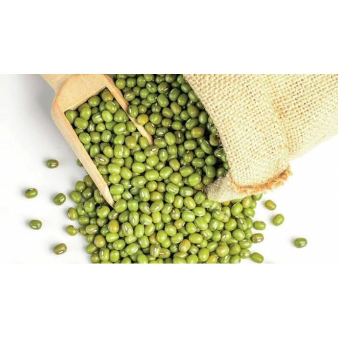 Rengarenk Pet Shop | Kedi, Köpek, Kuş, Balık ve Tüm Evcil Hayvan Ürünleri