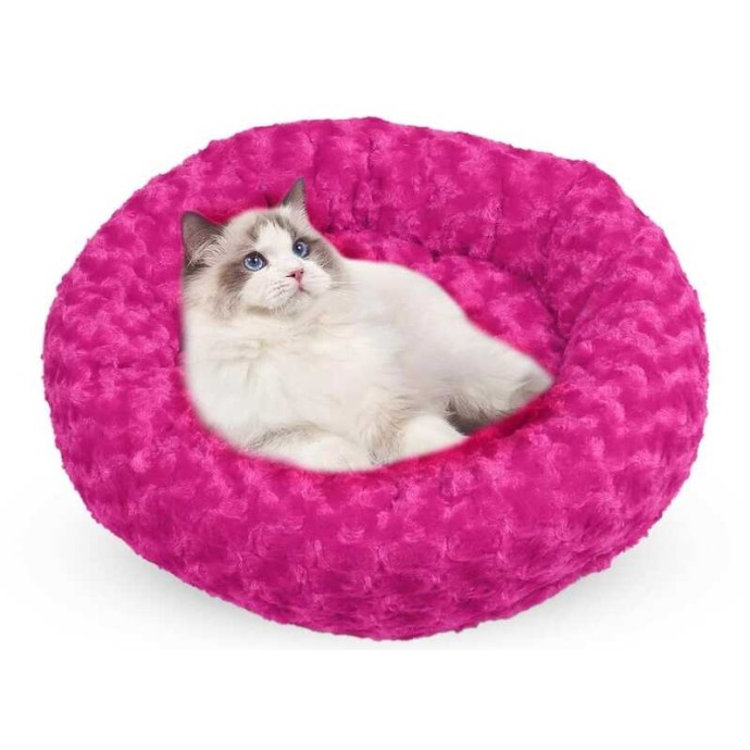 Rengarenk Pet Shop | Kedi, Köpek, Kuş, Balık ve Tüm Evcil Hayvan Ürünleri