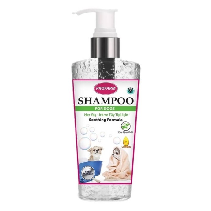 Rengarenk Pet Shop | Kedi, Köpek, Kuş, Balık ve Tüm Evcil Hayvan Ürünleri