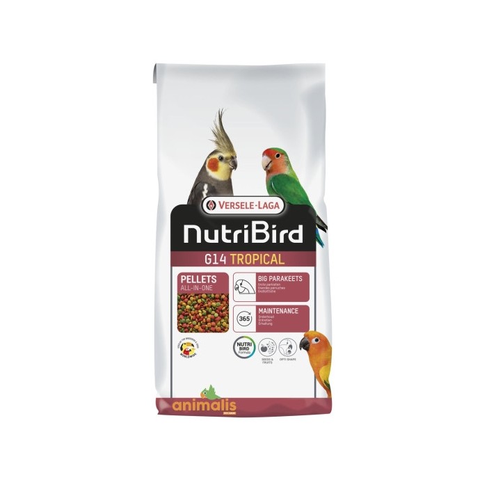 Rengarenk Pet Shop | Kedi, Köpek, Kuş, Balık ve Tüm Evcil Hayvan Ürünleri