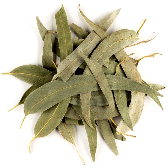 Rengarenk Pet Shop | Kedi, Köpek, Kuş, Balık ve Tüm Evcil Hayvan Ürünleri