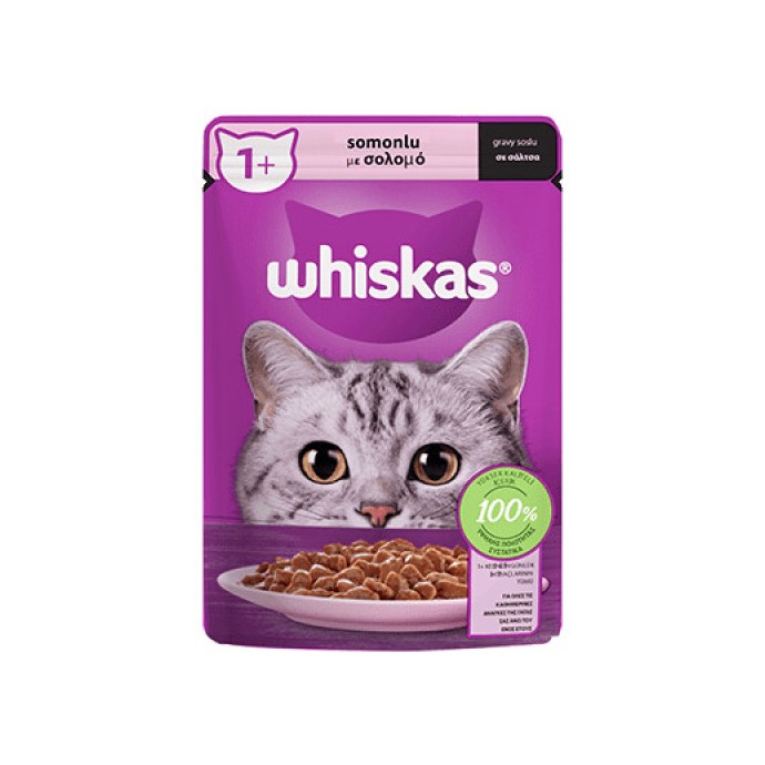 Rengarenk Pet Shop | Kedi, Köpek, Kuş, Balık ve Tüm Evcil Hayvan Ürünleri