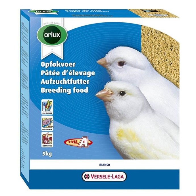 Rengarenk Pet Shop | Kedi, Köpek, Kuş, Balık ve Tüm Evcil Hayvan Ürünleri