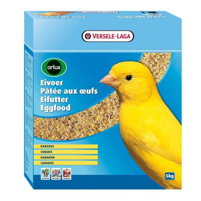 Rengarenk Pet Shop | Kedi, Köpek, Kuş, Balık ve Tüm Evcil Hayvan Ürünleri