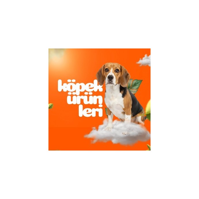 Rengarenk Pet Shop | Kedi, Köpek, Kuş, Balık ve Tüm Evcil Hayvan Ürünleri