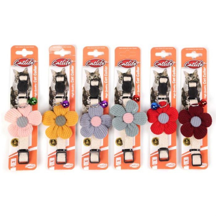 Rengarenk Pet Shop | Kedi, Köpek, Kuş, Balık ve Tüm Evcil Hayvan Ürünleri