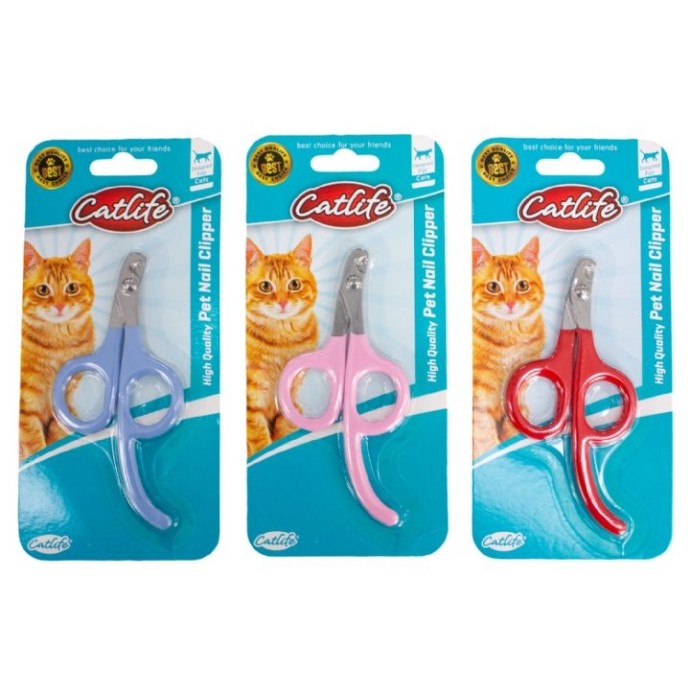 Rengarenk Pet Shop | Kedi, Köpek, Kuş, Balık ve Tüm Evcil Hayvan Ürünleri