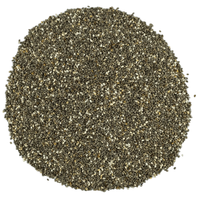 Rengarenk Pet Shop | Kedi, Köpek, Kuş, Balık ve Tüm Evcil Hayvan Ürünleri