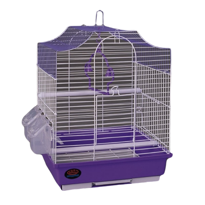 Rengarenk Pet Shop | Kedi, Köpek, Kuş, Balık ve Tüm Evcil Hayvan Ürünleri