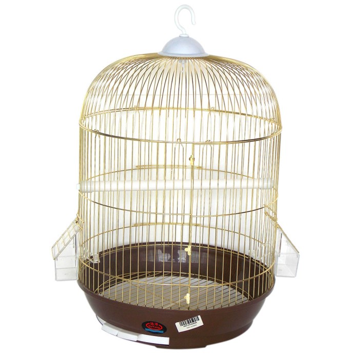 Rengarenk Pet Shop | Kedi, Köpek, Kuş, Balık ve Tüm Evcil Hayvan Ürünleri