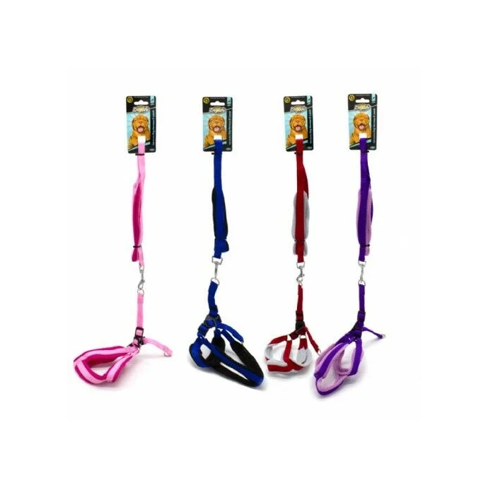 Rengarenk Pet Shop | Kedi, Köpek, Kuş, Balık ve Tüm Evcil Hayvan Ürünleri