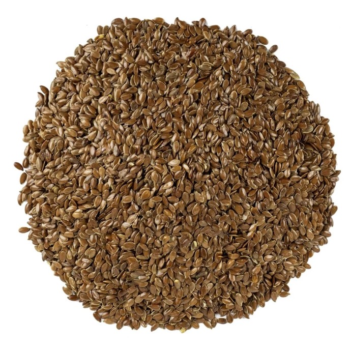 Rengarenk Pet Shop | Kedi, Köpek, Kuş, Balık ve Tüm Evcil Hayvan Ürünleri