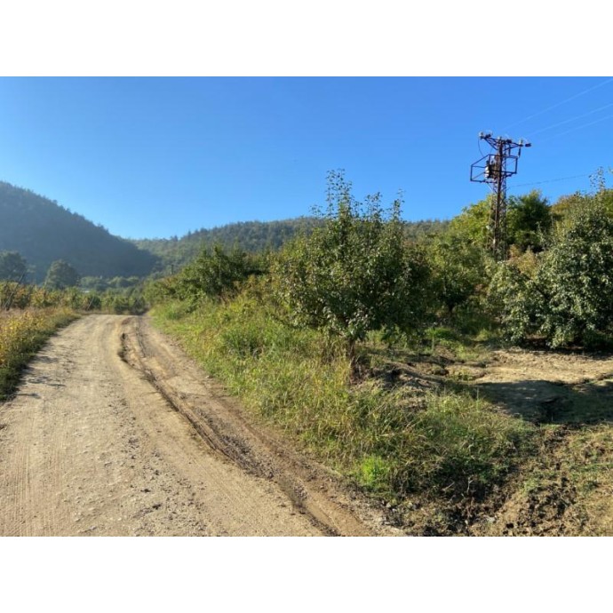 Rengarenk Pet Shop | Kedi, Köpek, Kuş, Balık ve Tüm Evcil Hayvan Ürünleri