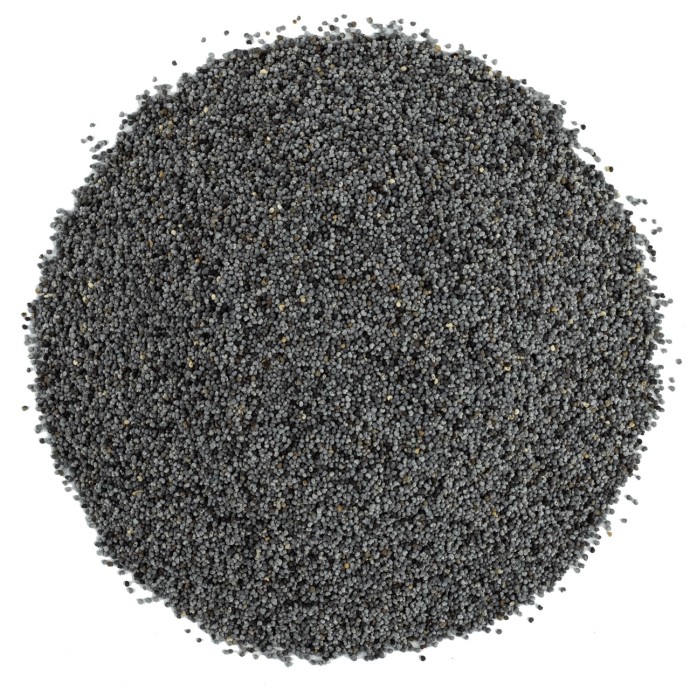 Rengarenk Pet Shop | Kedi, Köpek, Kuş, Balık ve Tüm Evcil Hayvan Ürünleri