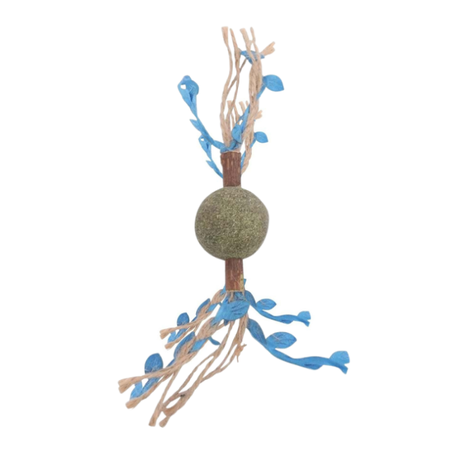 Rengarenk Pet Shop | Kedi, Köpek, Kuş, Balık ve Tüm Evcil Hayvan Ürünleri