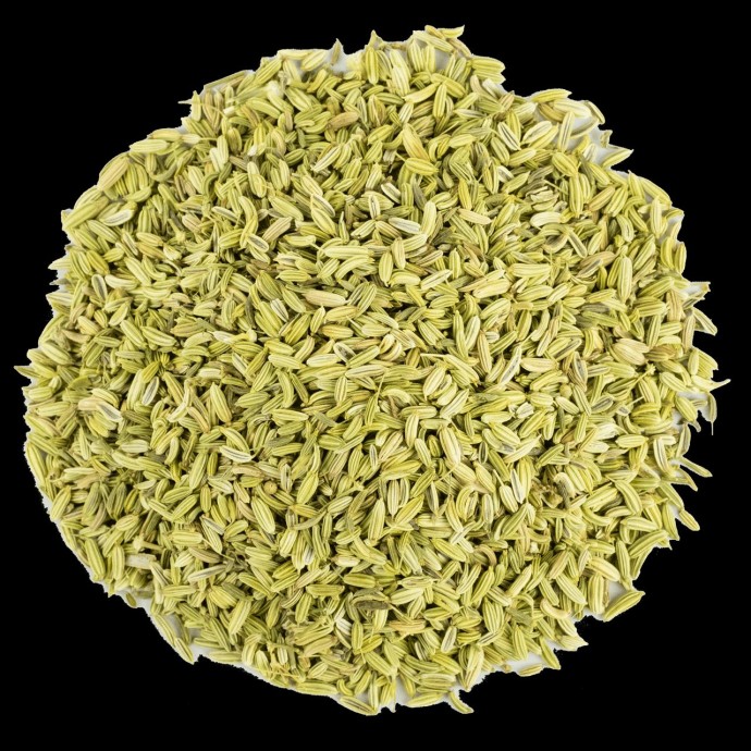 Rengarenk Pet Shop | Kedi, Köpek, Kuş, Balık ve Tüm Evcil Hayvan Ürünleri