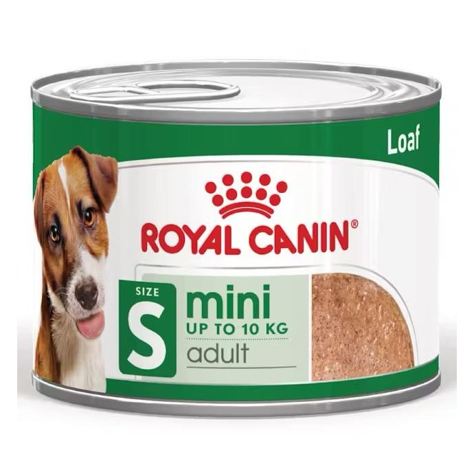 Rengarenk Pet Shop | Kedi, Köpek, Kuş, Balık ve Tüm Evcil Hayvan Ürünleri