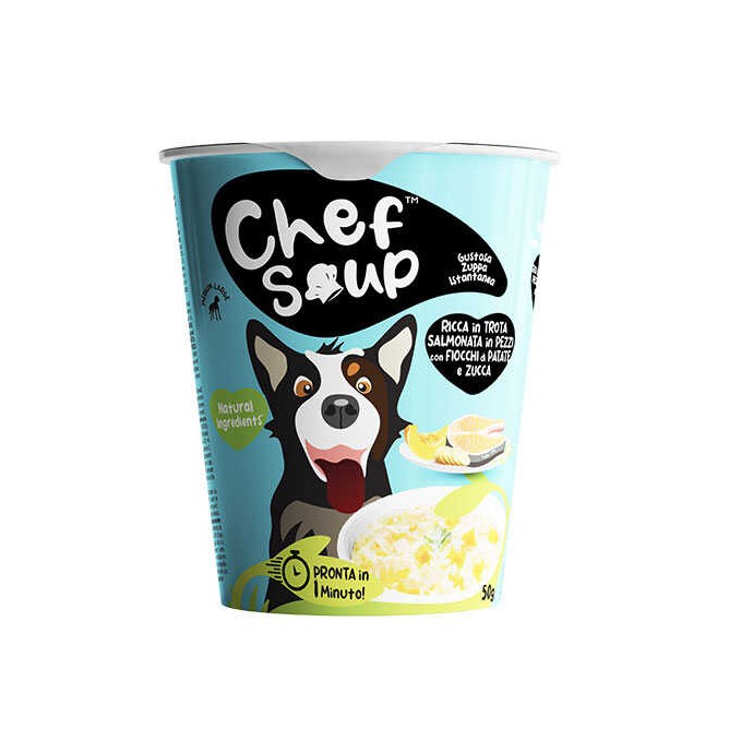 Rengarenk Pet Shop | Kedi, Köpek, Kuş, Balık ve Tüm Evcil Hayvan Ürünleri