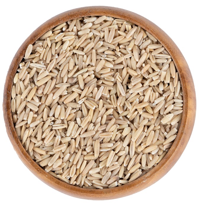 Rengarenk Pet Shop | Kedi, Köpek, Kuş, Balık ve Tüm Evcil Hayvan Ürünleri