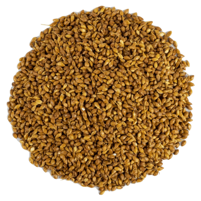 Rengarenk Pet Shop | Kedi, Köpek, Kuş, Balık ve Tüm Evcil Hayvan Ürünleri