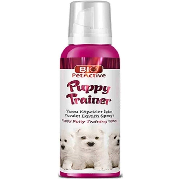 Rengarenk Pet Shop | Kedi, Köpek, Kuş, Balık ve Tüm Evcil Hayvan Ürünleri