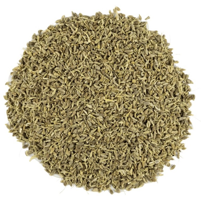 Rengarenk Pet Shop | Kedi, Köpek, Kuş, Balık ve Tüm Evcil Hayvan Ürünleri