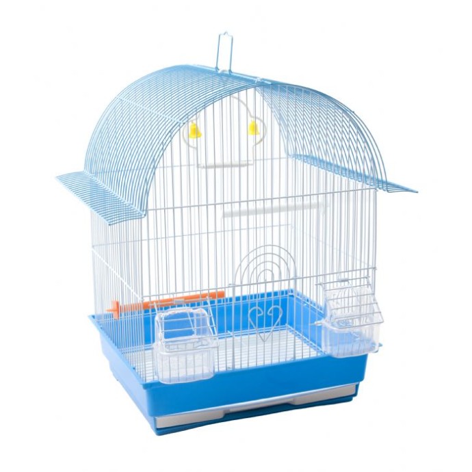 Rengarenk Pet Shop | Kedi, Köpek, Kuş, Balık ve Tüm Evcil Hayvan Ürünleri