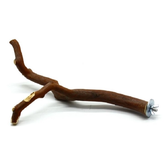 Rengarenk Pet Shop | Kedi, Köpek, Kuş, Balık ve Tüm Evcil Hayvan Ürünleri