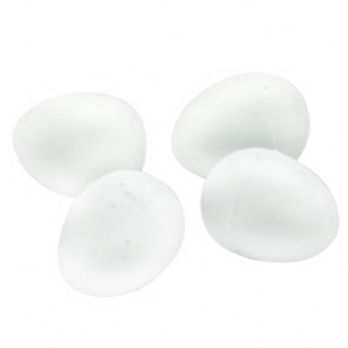 Rengarenk Pet Shop | Kedi, Köpek, Kuş, Balık ve Tüm Evcil Hayvan Ürünleri