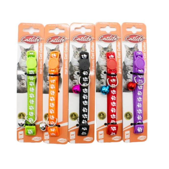 Rengarenk Pet Shop | Kedi, Köpek, Kuş, Balık ve Tüm Evcil Hayvan Ürünleri