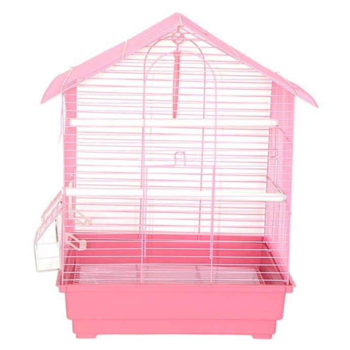 Rengarenk Pet Shop | Kedi, Köpek, Kuş, Balık ve Tüm Evcil Hayvan Ürünleri